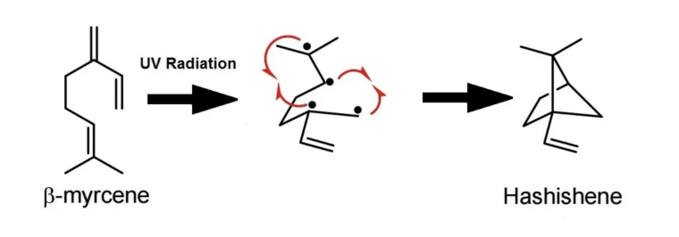 Beta-Myrcen