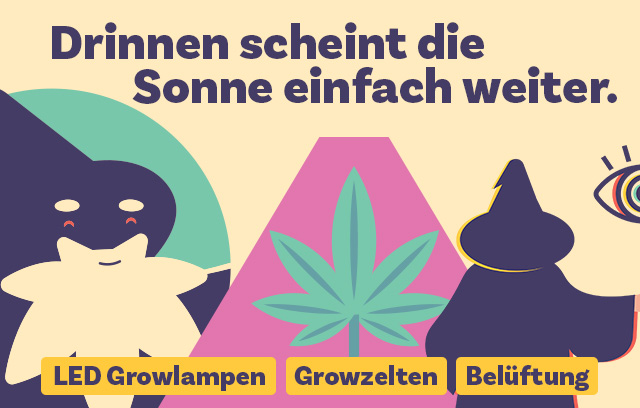 Cannabisanbau im Innenbereich